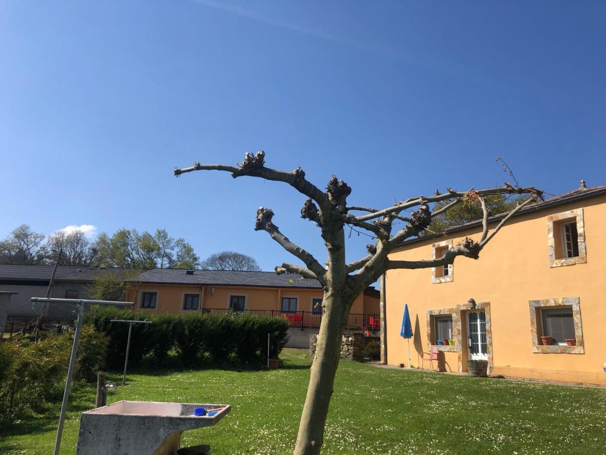 Albergue O Cruceiro Salgueiros Экстерьер фото